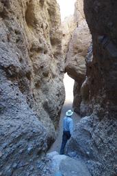 Randy in the left fork [wed feb 8 13:05:15 mst 2017]